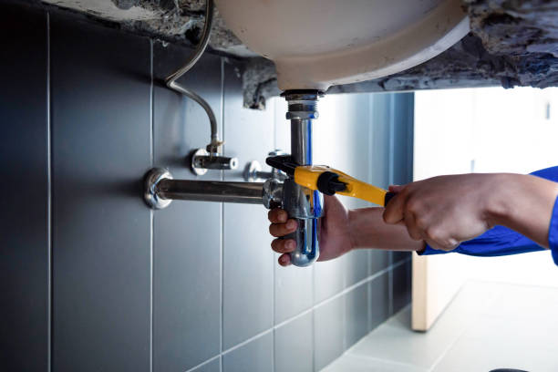 Best Plumbing System Maintenance  in Mion, AR